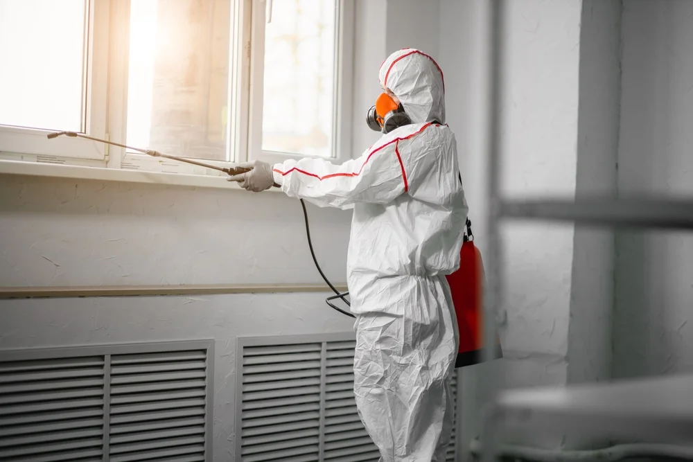 Professional mold remediation services in Memphis, IN